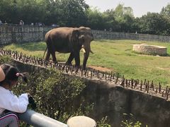 -西安秦岭野生动物园