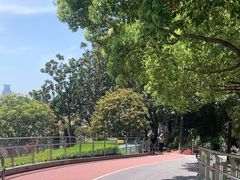 -北外滩滨江绿地