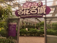 -南宫五洲植物乐园