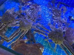 -鼓歌海鲜舫·手抓海鲜(大学城店)