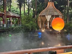 -二荆条·蜀鲜汇城市森林火锅