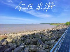 -上海吴淞炮台湾国家湿地公园