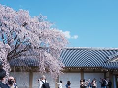 -醍醐寺
