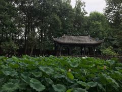 -宝光寺