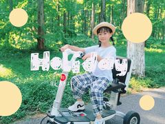 -黄海国家森林公园