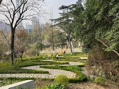 -成都市活水公园