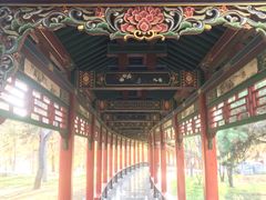 -晋祠公园