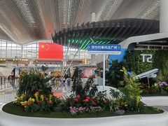 -广州白云国际机场-T2航站楼