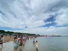 -碧海金沙