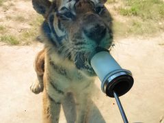 -大连森林动物园