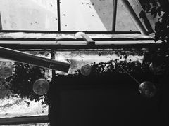-久馆NineHouse