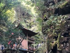 -藏龙百瀑风景区