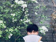 -常德桃花源景区