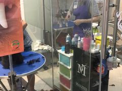 -PETKIT 小佩宠物·低压洗护·美容·寄养(安远店)