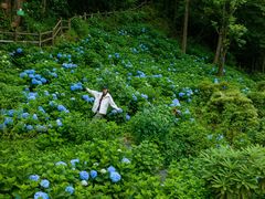 -龙苍沟森林公园