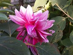 -白渔泡湿地公园