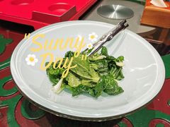 生炝木耳菜-九十九顶毡房(阜石路店)