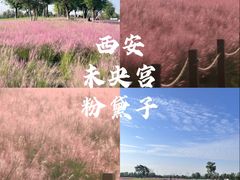 -汉长安城未央宫国家考古遗址公园