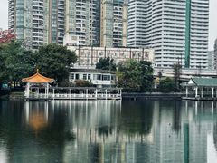 -荔湾湖公园