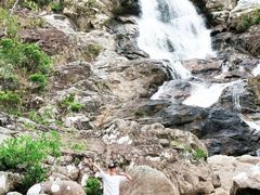 -海南热带雨林国家公园吊罗山景区