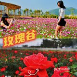 三亚||独属于自己的沙滩记忆  
