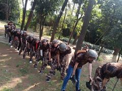 -铁山坪森林公园