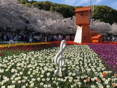 -苏州上方山国家森林公园