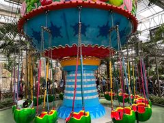 -南宫五洲植物乐园