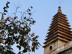 -北京石刻艺术博物馆(五塔寺)