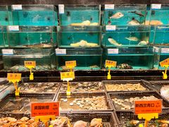 -潮粤香海鲜酒楼(沙湖店)