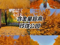 -玲珑塔公园