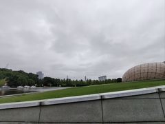 -金陵图书馆