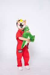 -小熊维尼高端儿童摄影(宝安旗舰店)