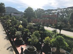 -东芭乐园