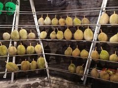 -都念榴莲·城市榴莲