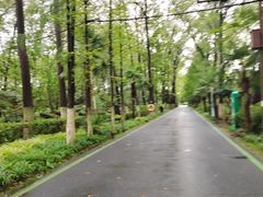 -合肥滨湖国家森林公园