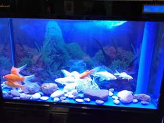 -宜昌富力皇冠假日酒店·咖啡1号西餐厅