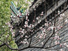 -罔极寺