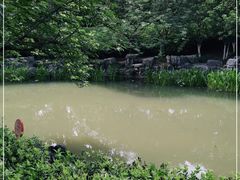 -昆山城市公园