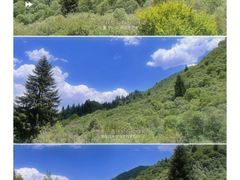-兰州吐鲁沟国家森林公园