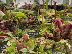 -国家植物园南园