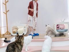 -1013 PET SHOP 宠物商店(近铁城市广场店)