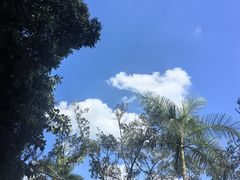 -南宁南湖公园