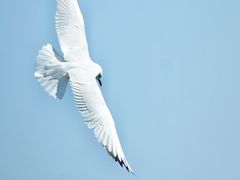 -西昌邛海湿地
