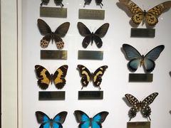 -上海昆虫博物馆