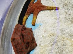 -绿色星球动物主题公园