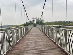 -西青郊野公园