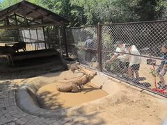 -青藏高原野生动物园
