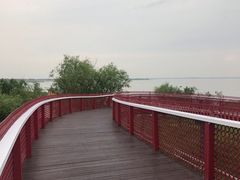 -卧龙湖