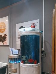 -阿莲新妆护肤造型